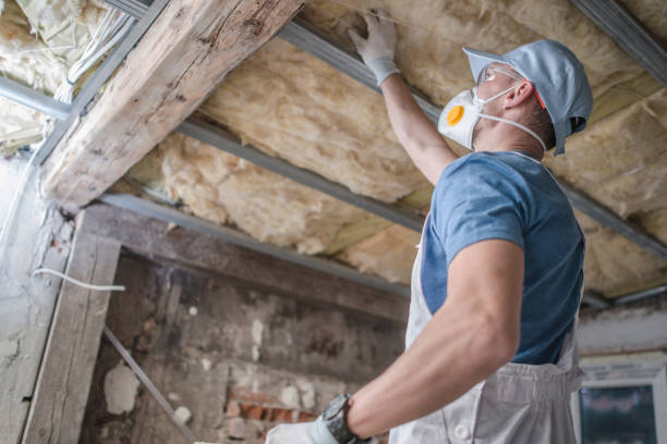 Best Blown-in Insulation in Hallandale Beach, FL