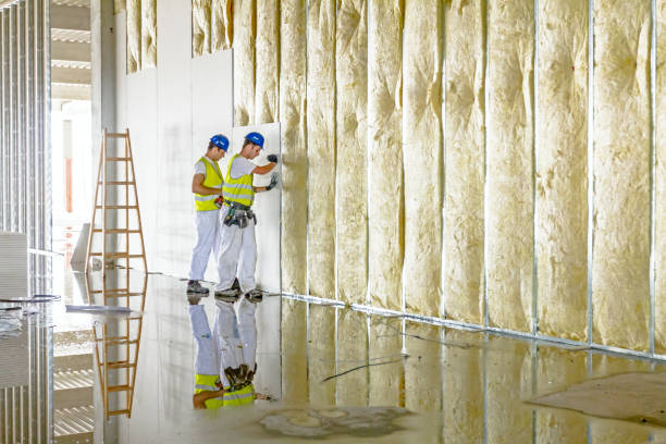 Best Commercial Insulation in Hallandale Beach, FL